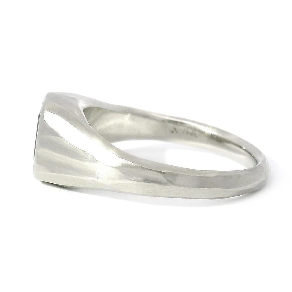 Emerald-Cut Montana Sapphire Signet Ring -"Roam Free" - Image 5